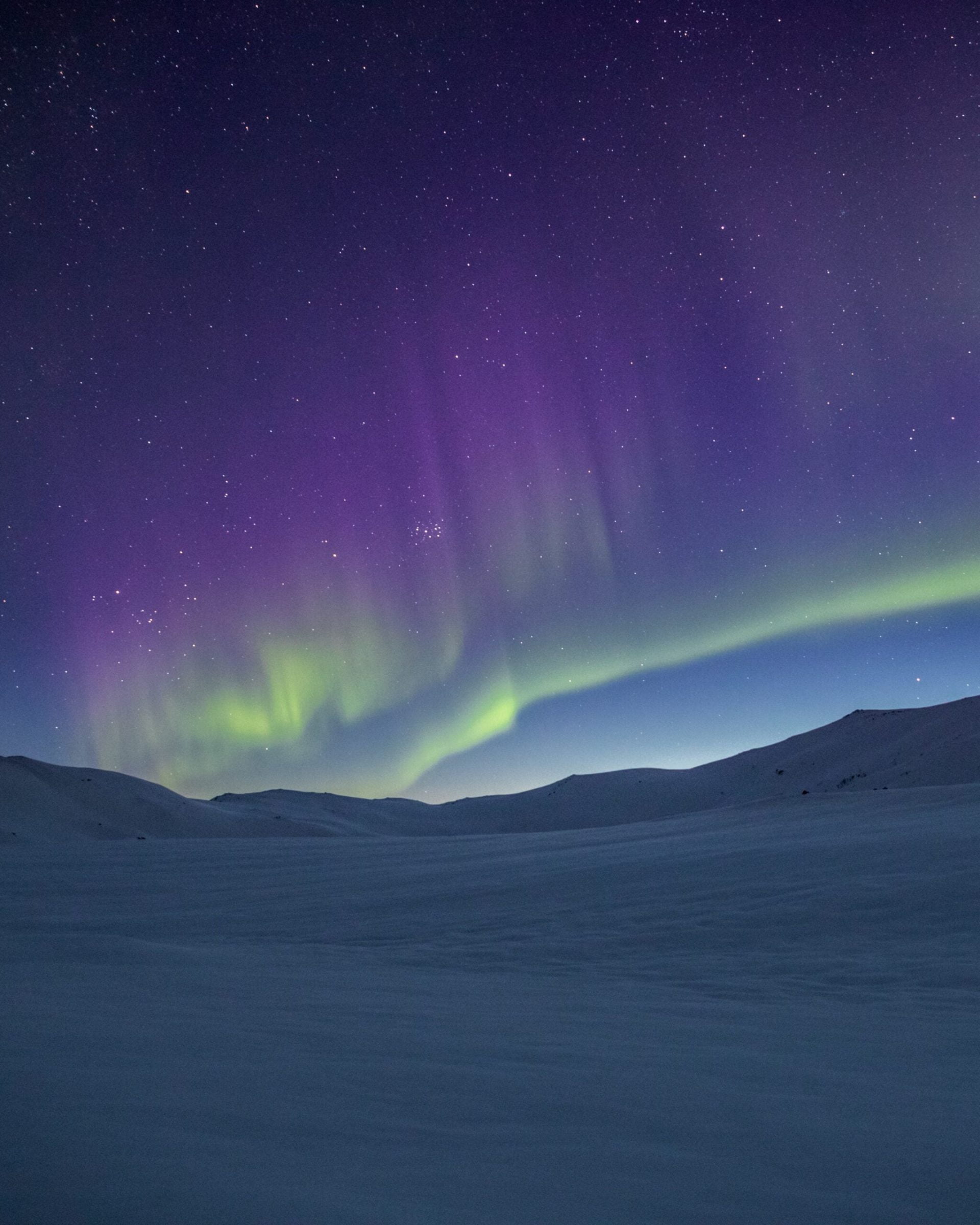 Aurora over a winter landscape
